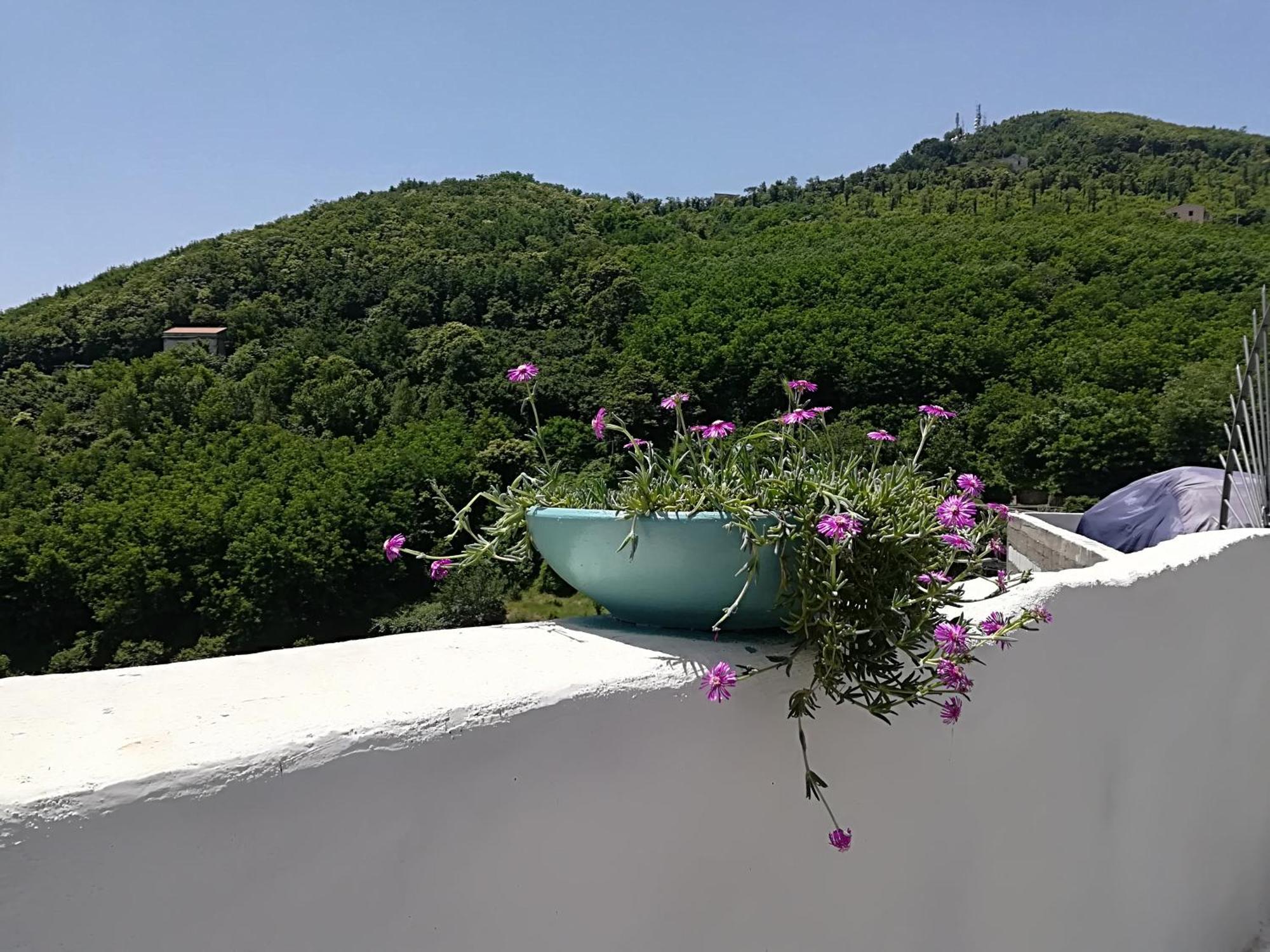 Bed and Breakfast Il Covo Delle Civette В'єтрі Екстер'єр фото